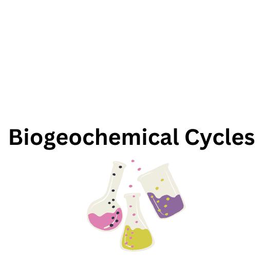 Biogeochemical Cycles